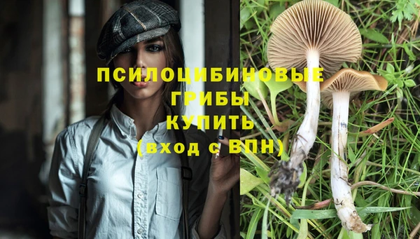 кристаллы Новодвинск