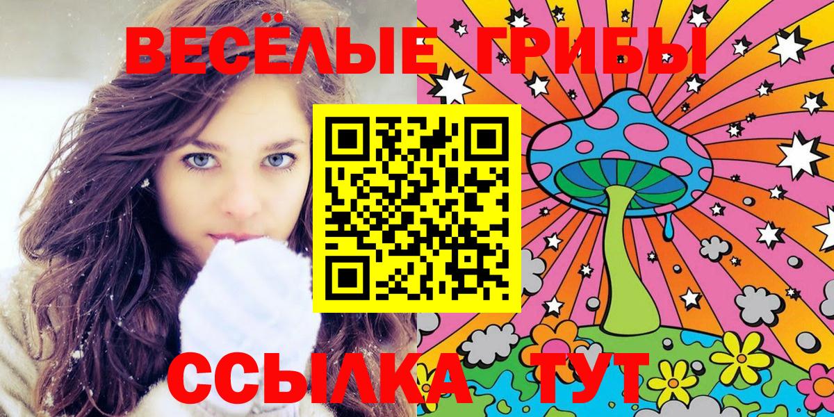 Псилоцибиновые грибы Psilocybine cubensis  продажа наркотиков  Изобильный  Вход с VPN  Галлюциногенные грибы мицелий 