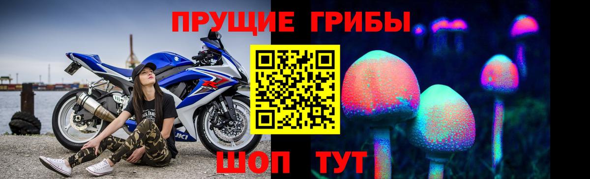 Псилоцибиновые грибы Cubensis Изобильный