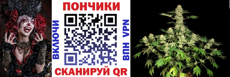 где купить наркоту  Изобильный  Шишки марихуана семена 