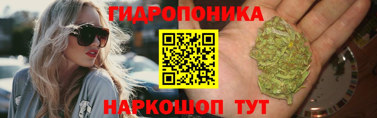 Канабис OG Kush  Вход с VPN  Шишки марихуана планчик  Бошки марихуана планчик  Изобильный 